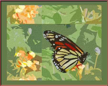 Butterfly