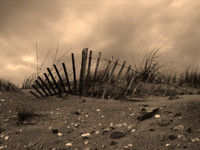 Fence in Sepia