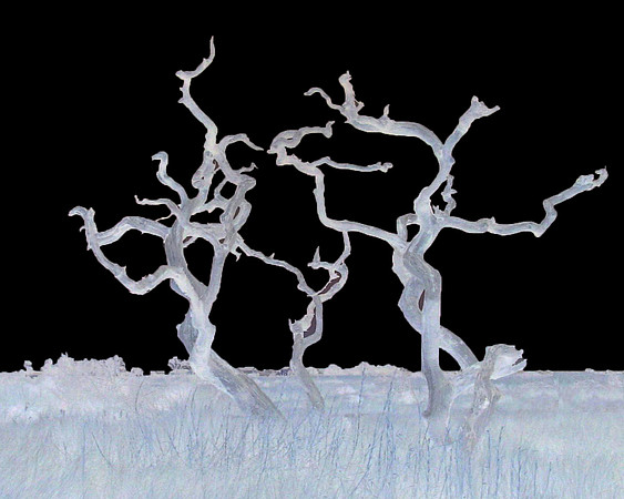 Dancers in Ice